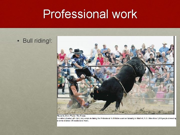 Professional work • Bull riding!: 