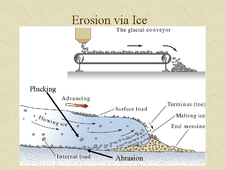 Erosion via Ice Plucking Abrasion 