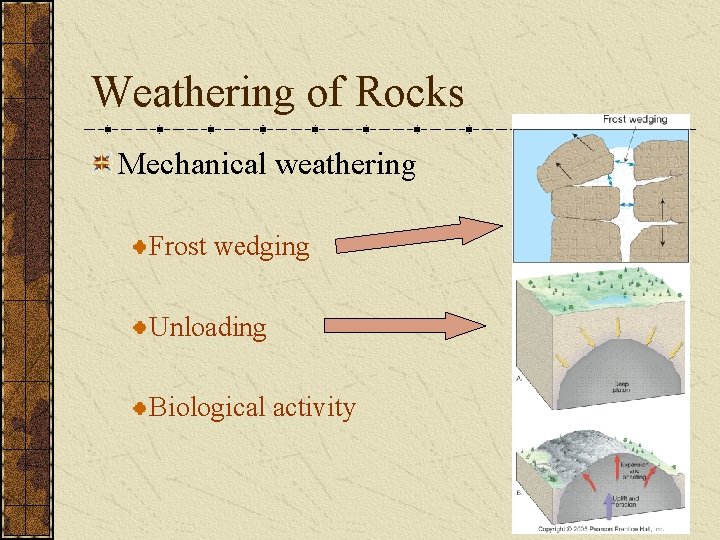 Weathering of Rocks Mechanical weathering Frost wedging Unloading Biological activity 