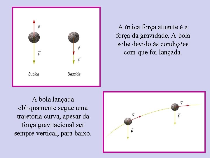 A única força atuante é a força da gravidade. A bola sobe devido às