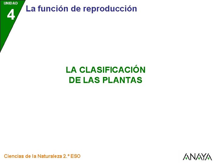 UNIDAD 4 La función de reproducción LA CLASIFICACIÓN DE LAS PLANTAS Ciencias de la