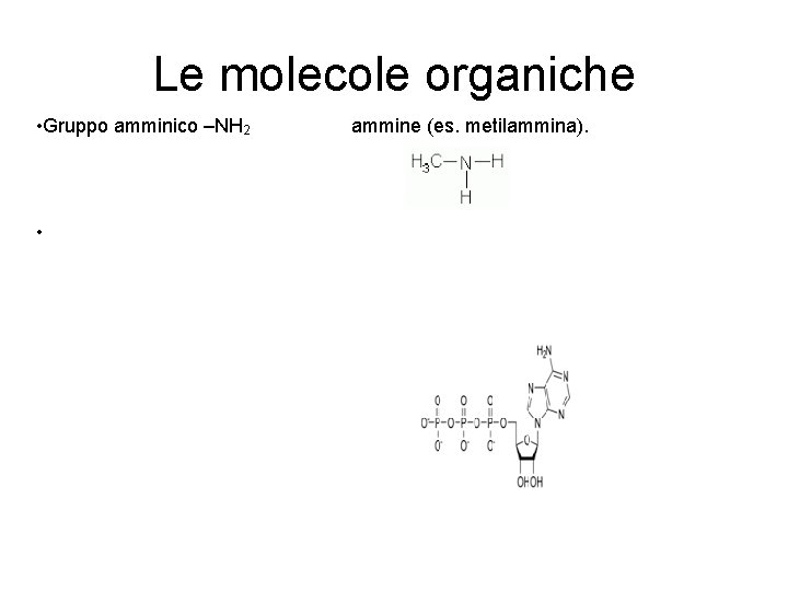 Le molecole organiche • Gruppo amminico –NH 2 • ammine (es. metilammina). 