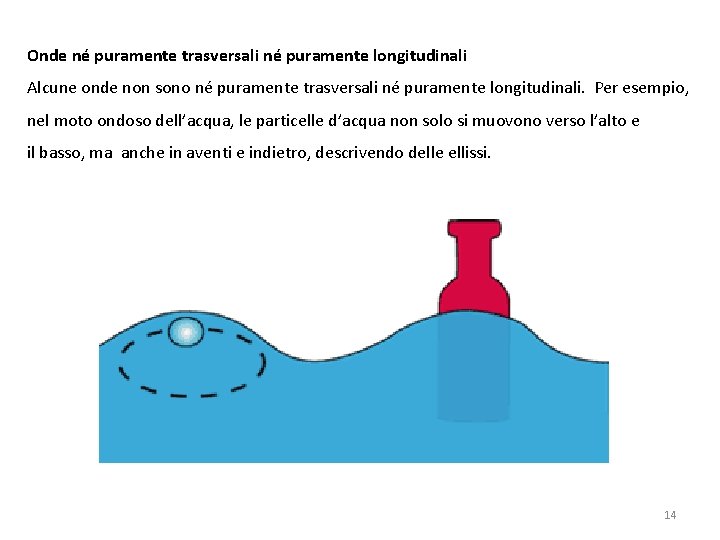 Onde né puramente trasversali né puramente longitudinali Alcune onde non sono né puramente trasversali