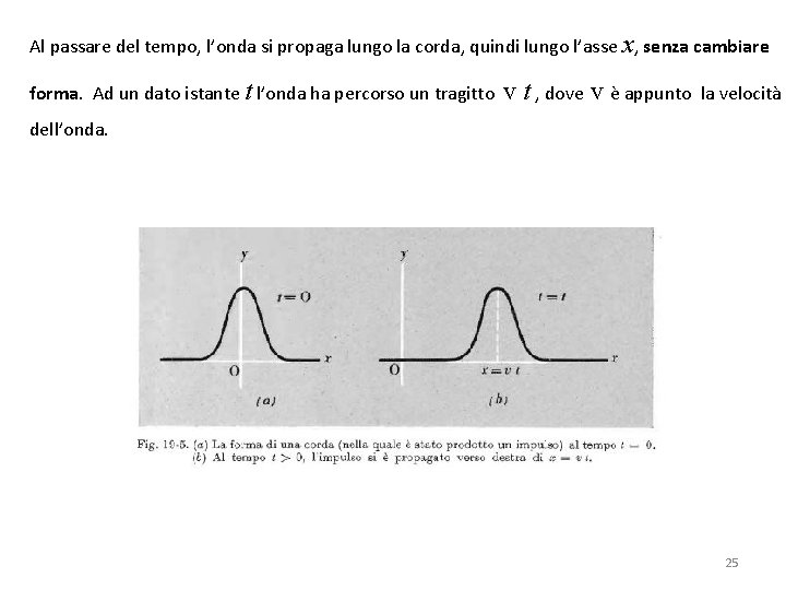 Al passare del tempo, l’onda si propaga lungo la corda, quindi lungo l’asse x,