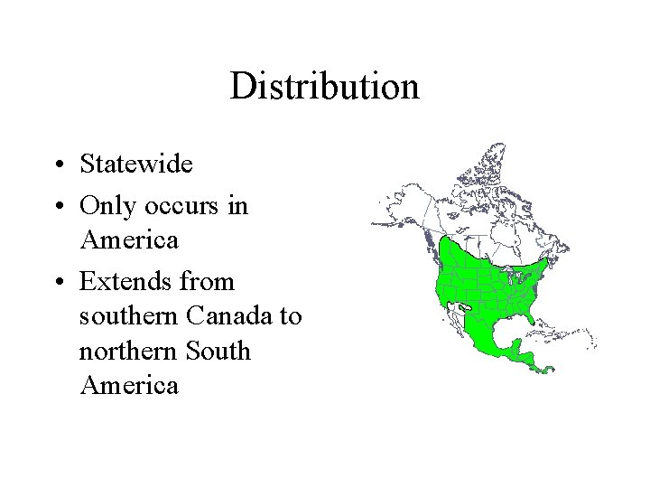 Distribution • Statewide • Only occurs in America • Extends from southern Canada to