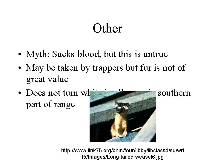 Other • Myth: Sucks blood, but this is untrue • May be taken by