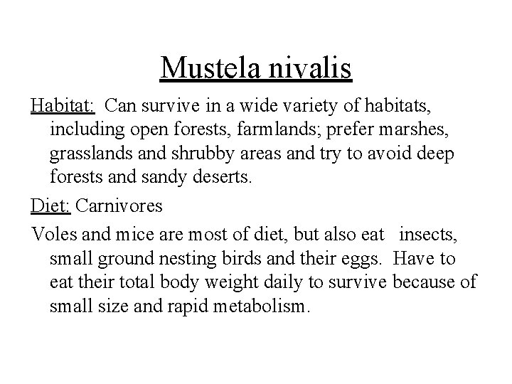 Mustela nivalis Habitat: Can survive in a wide variety of habitats, including open forests,