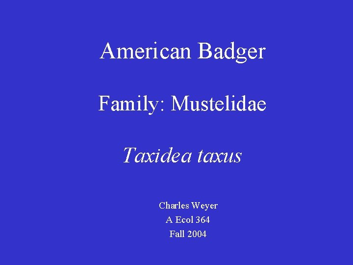 American Badger Family: Mustelidae Taxidea taxus Charles Weyer A Ecol 364 Fall 2004 