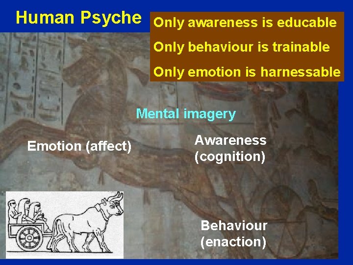 Human Psyche Only awareness is educable Only behaviour is trainable Only emotion is harnessable