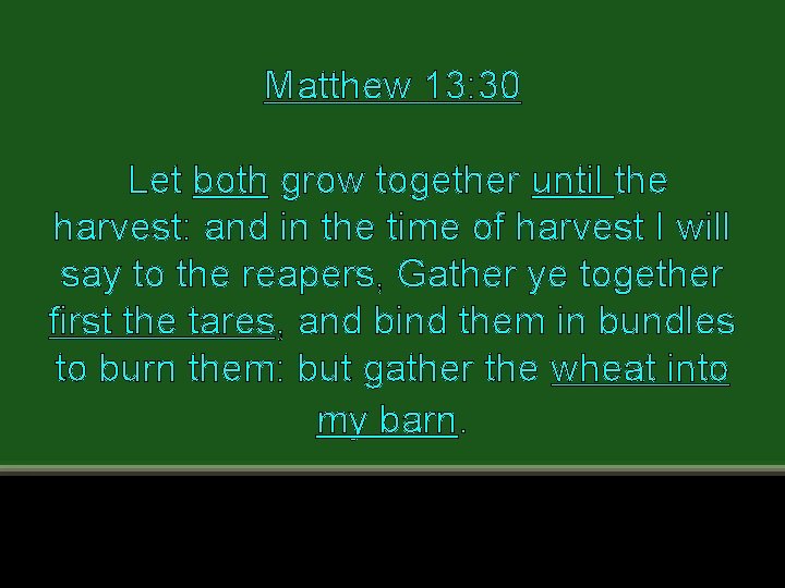 Matthew 13: 30 Let both grow together until the harvest: and in the time Matthew 13: 30 Let both grow together until the harvest: and in the time