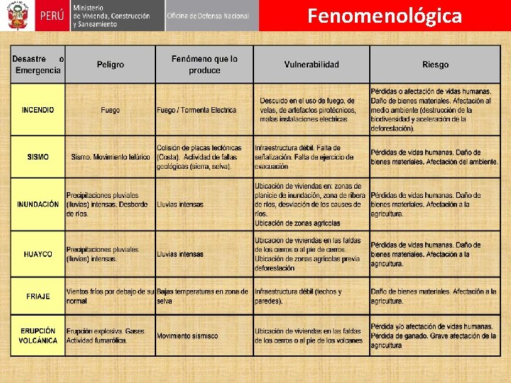 Fenomenológica 