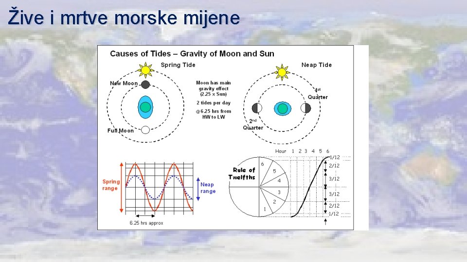 Žive i mrtve morske mijene 