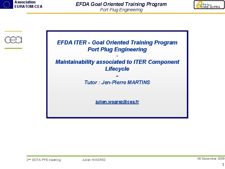 Association EURATOM-CEA EFDA Goal Oriented Training Program Port Plug Engineering TORE SUPRA EFDA ITER