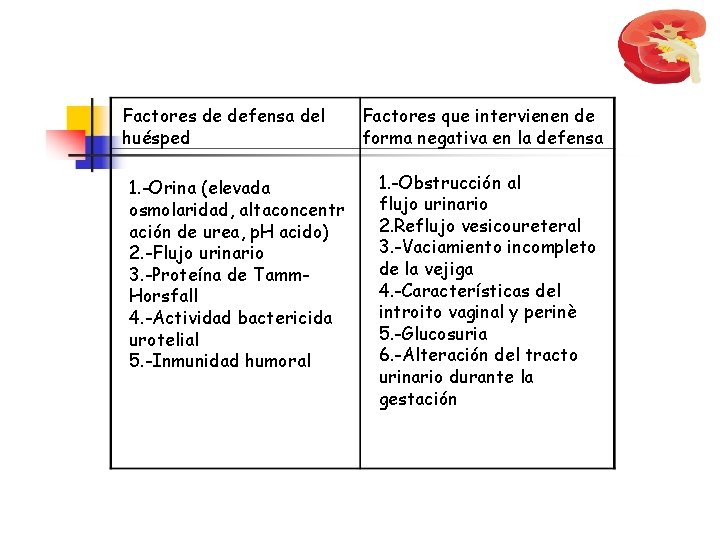 Factores de defensa del huésped 1. -Orina (elevada osmolaridad, altaconcentr ación de urea, p.