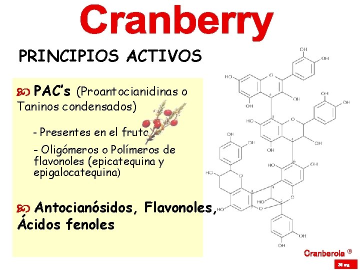 PRINCIPIOS ACTIVOS PAC’s (Proantocianidinas o Taninos condensados) - Presentes en el fruto - Oligómeros