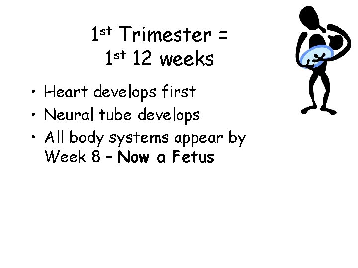 1 st Trimester = 1 st 12 weeks • Heart develops first • Neural