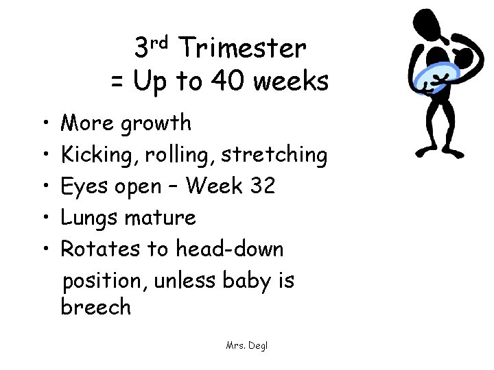 3 rd Trimester = Up to 40 weeks • • • More growth Kicking,