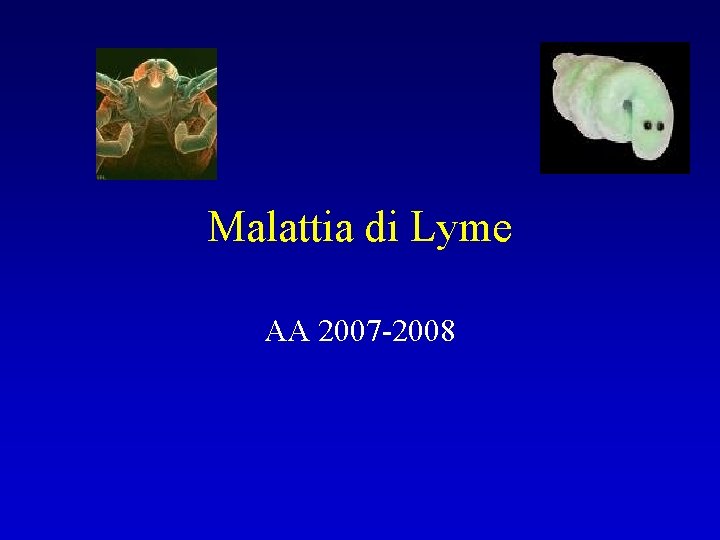 Malattia di Lyme AA 2007 -2008 