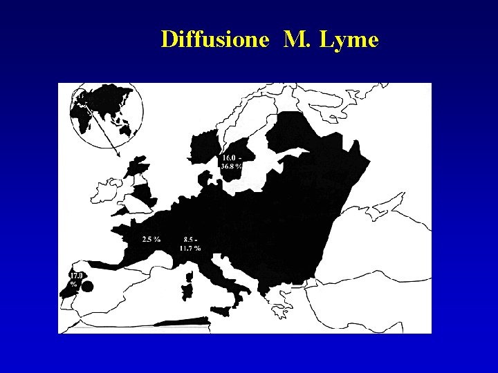 Diffusione M. Lyme 