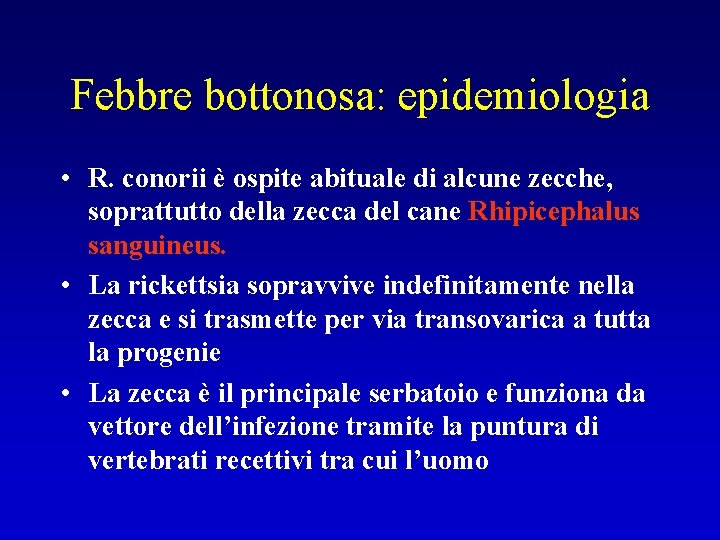 Febbre bottonosa: epidemiologia • R. conorii è ospite abituale di alcune zecche, soprattutto della