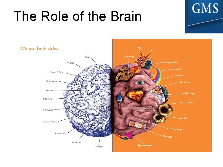 The Role of the Brain 