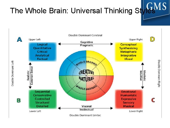 The Whole Brain: Universal Thinking Styles 