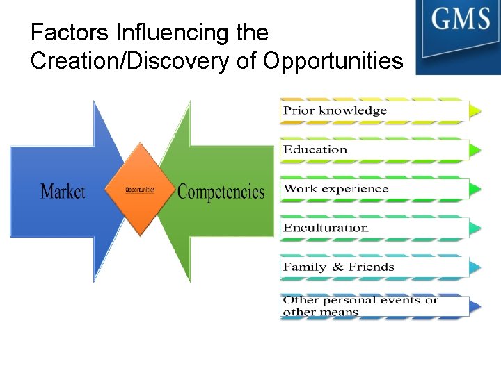 Factors Influencing the Creation/Discovery of Opportunities 