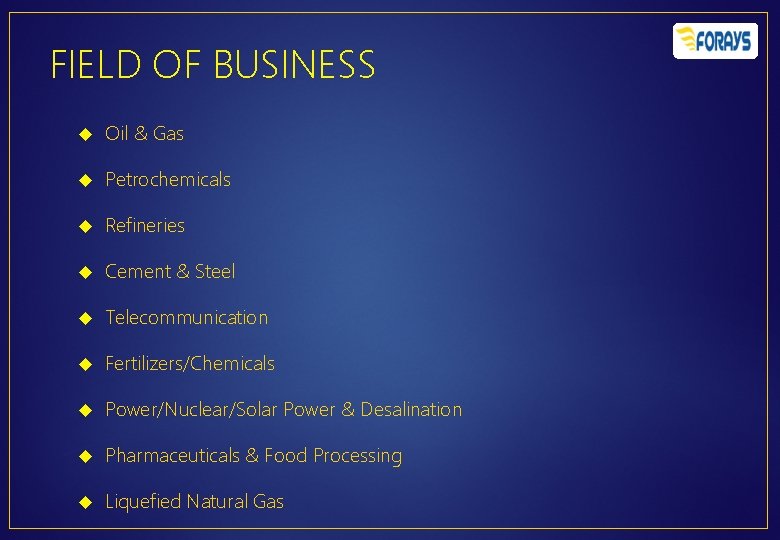 FIELD OF BUSINESS Oil & Gas Petrochemicals Refineries Cement & Steel Telecommunication Fertilizers/Chemicals Power/Nuclear/Solar