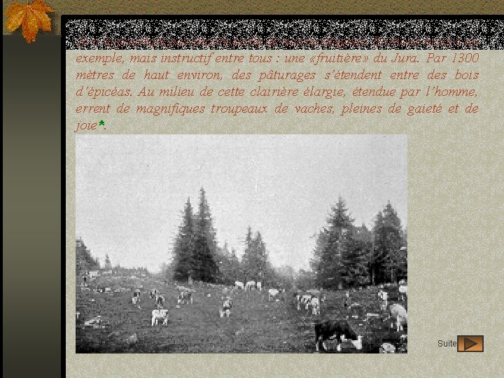 Je n’ai pourtant pas encore parlé de nos montagnes. Bornons-nous à un exemple, mais