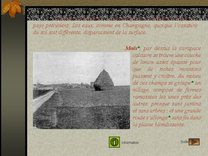 La Beauce ressemble*, du moins par la rareté des arbres, au pays précédent. Les