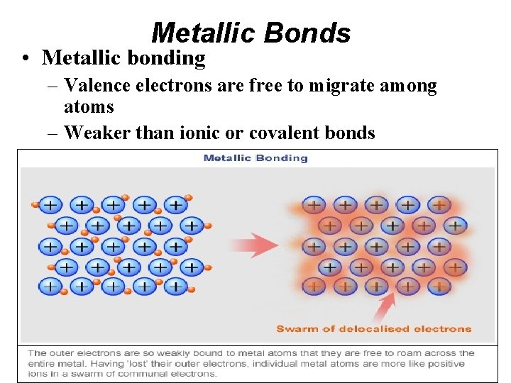 Metallic Bonds • Metallic bonding – Valence electrons are free to migrate among atoms