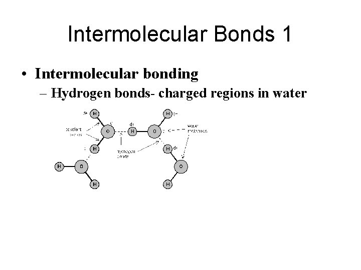 Intermolecular Bonds 1 • Intermolecular bonding – Hydrogen bonds- charged regions in water 