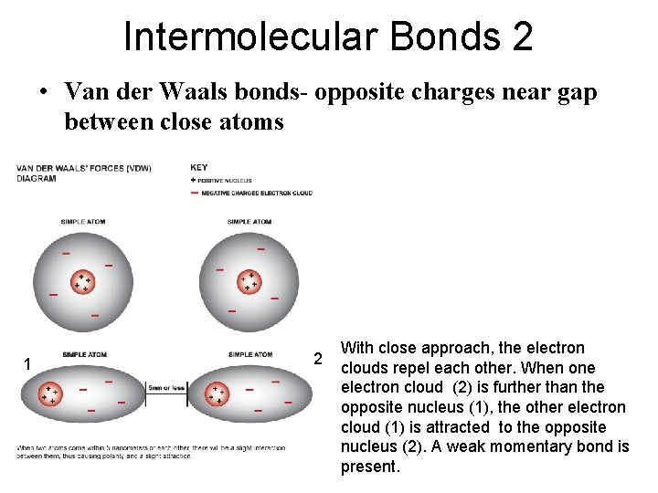 Intermolecular Bonds 2 • Van der Waals bonds- opposite charges near gap between close