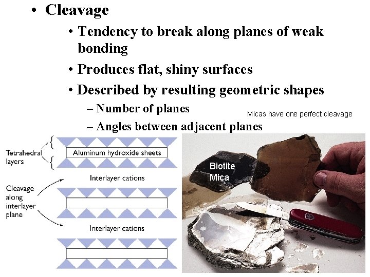  • Cleavage • Tendency to break along planes of weak bonding • Produces