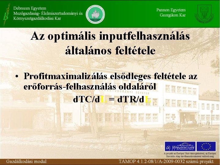 Az optimális inputfelhasználás általános feltétele • Profitmaximalizálás elsődleges feltétele az erőforrás-felhasználás oldaláról d. TC/d.