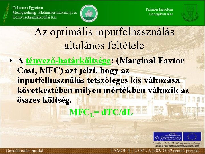 Az optimális inputfelhasználás általános feltétele • A tényező-határköltsége: (Marginal Favtor Cost, MFC) azt jelzi,