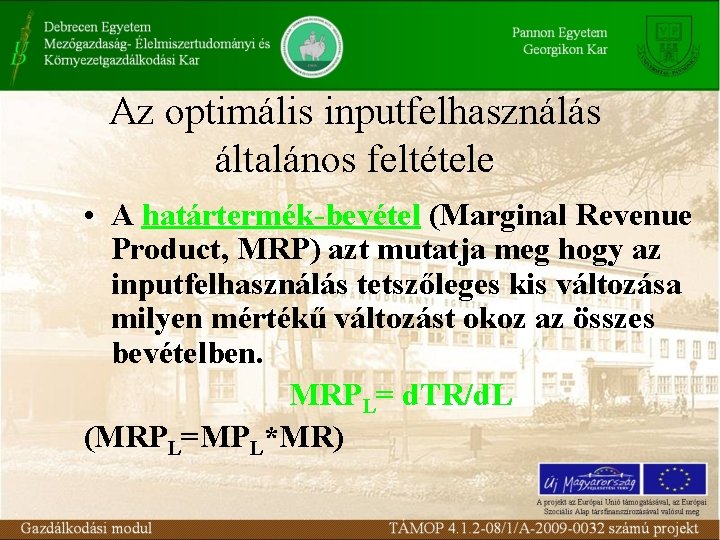 Az optimális inputfelhasználás általános feltétele • A határtermék-bevétel (Marginal Revenue Product, MRP) azt mutatja