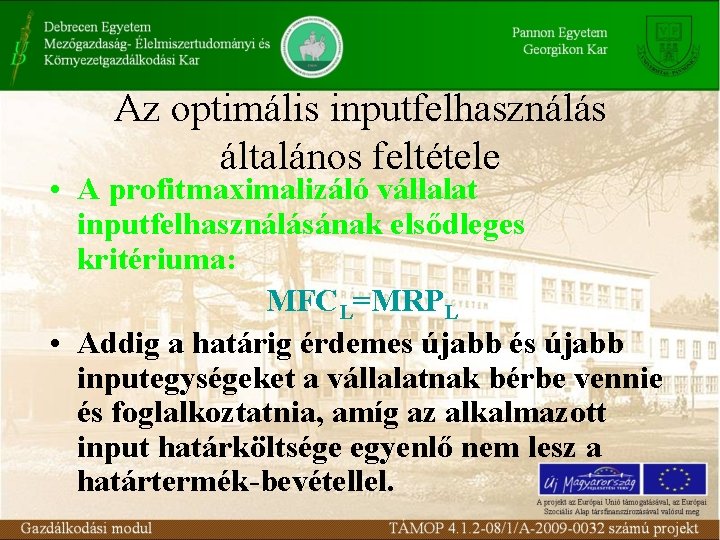 Az optimális inputfelhasználás általános feltétele • A profitmaximalizáló vállalat inputfelhasználásának elsődleges kritériuma: MFCL=MRPL •