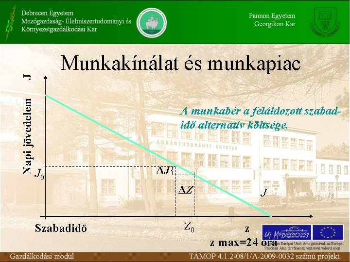 Napi jövedelem J Munkakínálat és munkapiac A munkabér a feláldozott szabadidő alternatív költsége. J