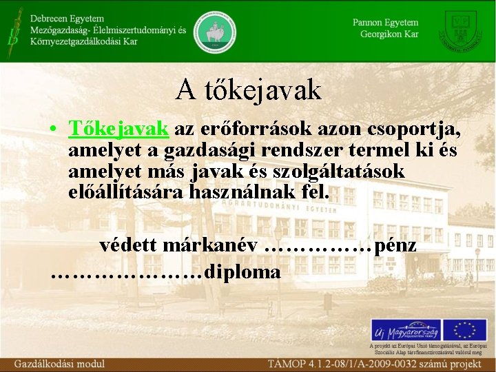 A tőkejavak • Tőkejavak az erőforrások azon csoportja, amelyet a gazdasági rendszer termel ki