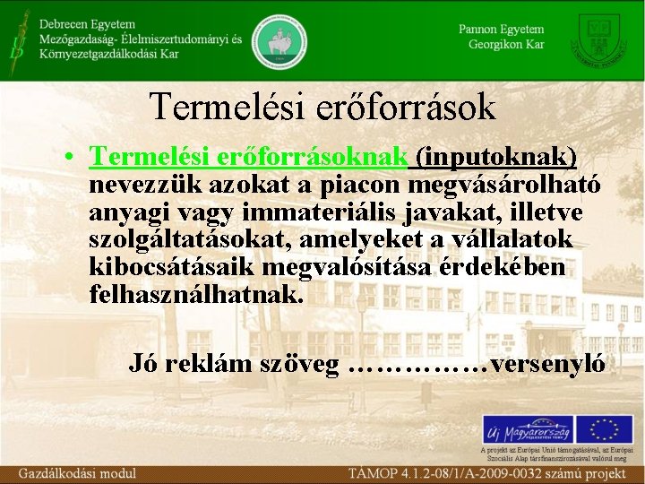 Termelési erőforrások • Termelési erőforrásoknak (inputoknak) nevezzük azokat a piacon megvásárolható anyagi vagy immateriális