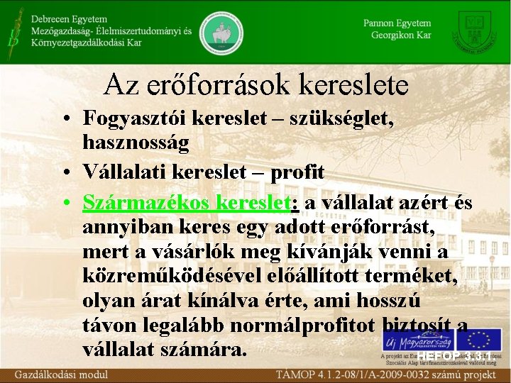 Az erőforrások kereslete • Fogyasztói kereslet – szükséglet, hasznosság • Vállalati kereslet – profit