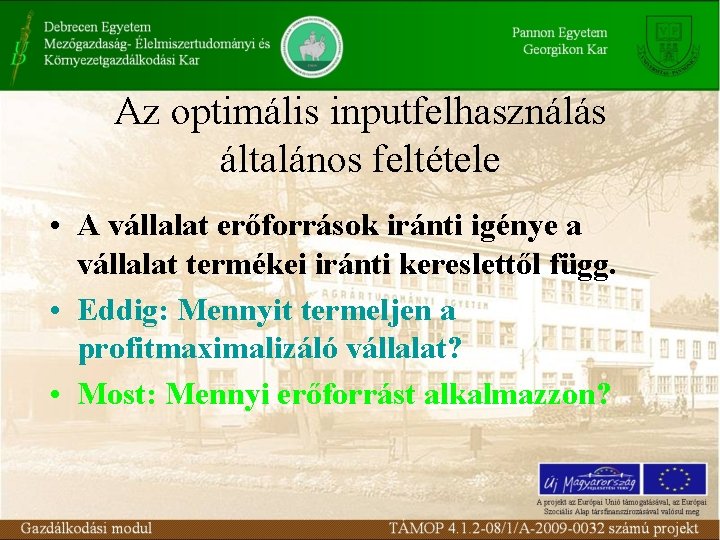 Az optimális inputfelhasználás általános feltétele • A vállalat erőforrások iránti igénye a vállalat termékei