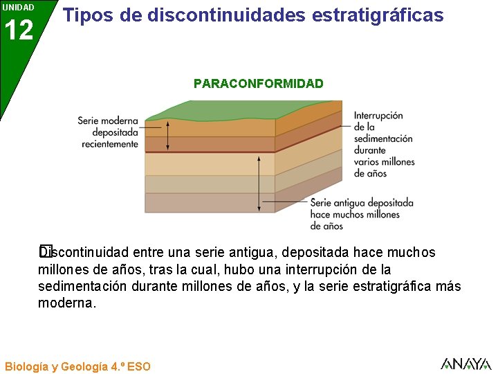 UNIDAD 12 3 Tipos de discontinuidades estratigráficas PARACONFORMIDAD Discontinuidad entre una serie antigua, depositada