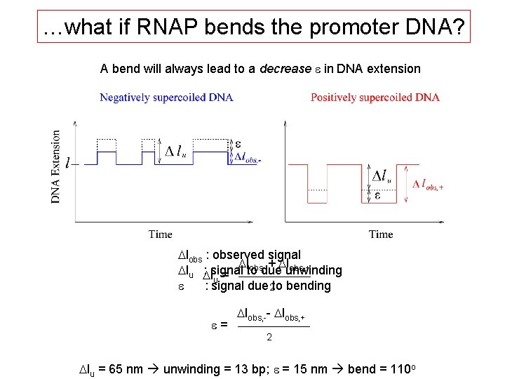 …what if RNAP bends the promoter DNA? A bend will always lead to a