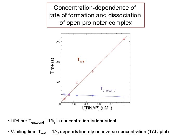 Concentration-dependence of rate of formation and dissociation of open promoter complex Twait Tunwound •
