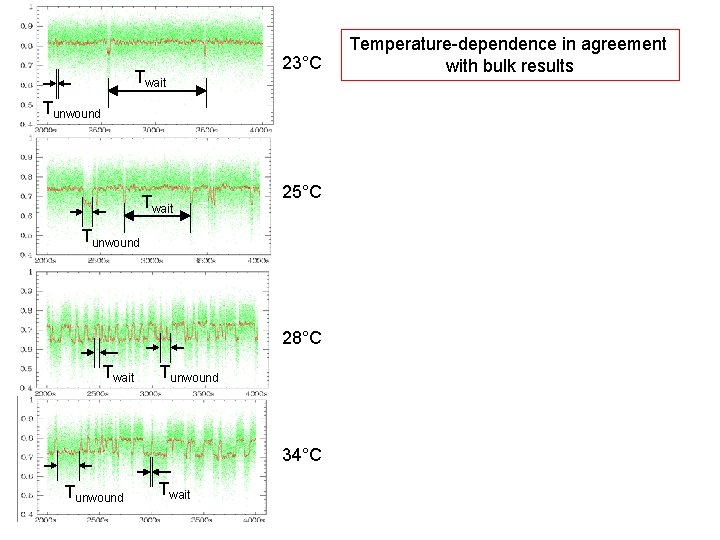 Twait 23°C Tunwound Twait 25°C Tunwound 28°C Twait Tunwound 34°C Tunwound Twait Temperature-dependence in