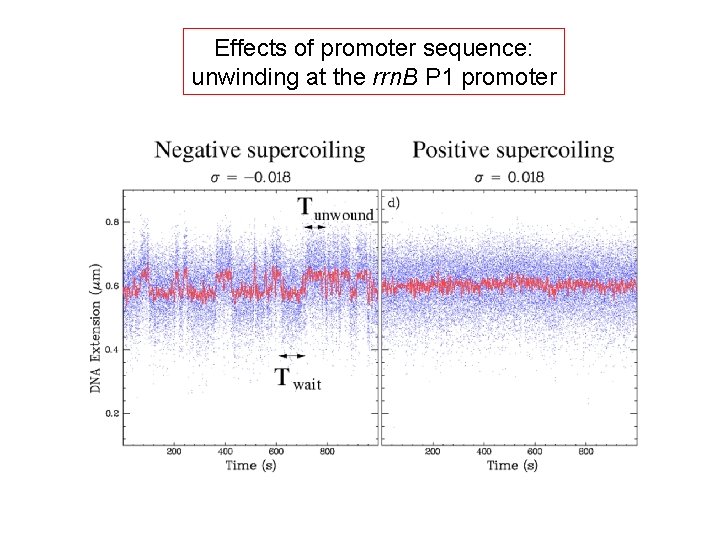 Effects of promoter sequence: unwinding at the rrn. B P 1 promoter 