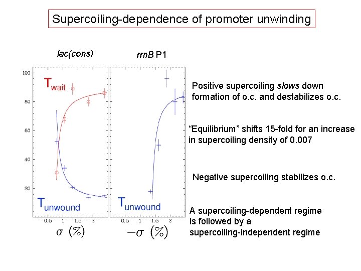 Supercoiling-dependence of promoter unwinding lac(cons) rrn. B P 1 Positive supercoiling slows down formation
