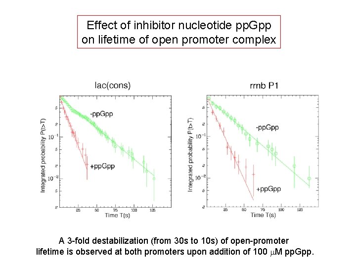 Effect of inhibitor nucleotide pp. Gpp on lifetime of open promoter complex A 3